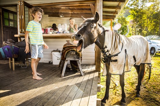 Comunal living with beautiful families, friends and nature. Northern NSW 