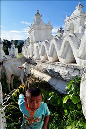 The shepherd’s son is herding the cows.  He was having fun helping his daddy around the pagoda. : by bulelucu, Views[338]