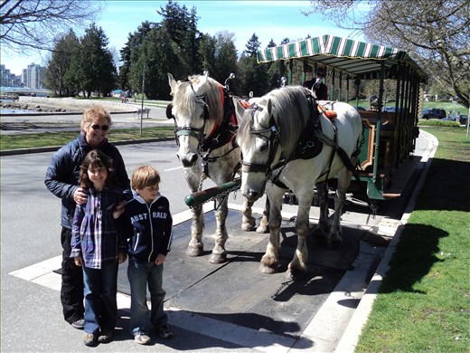 Going on a Horse and Carriage tour of Stanley Park