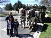 Going on a Horse and Carriage tour of Stanley Park: by bulli, Views[151]