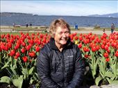 Kay and tulips: by bulli, Views[244]