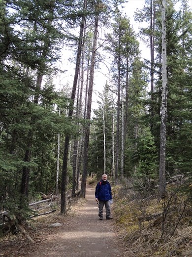 Walking trail - Jasper