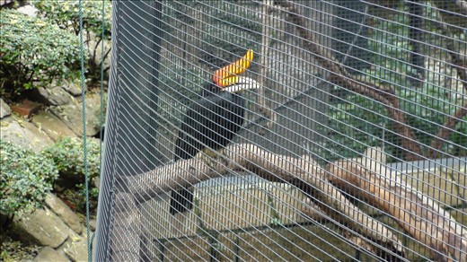 Aviary in Kowloon Park