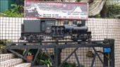 A model of the Ali Shan train that ran from Chiayi all the way up to Ali Shan, but has been shut down since a typhoon three years ago.: by bundynbeaches, Views[405]