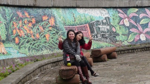 Ali Shan tourist park wall mural