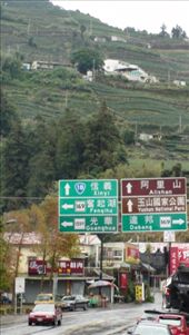 Tea terraces behind the sign showing the way to Ali Shan: by bundynbeaches, Views[2117]