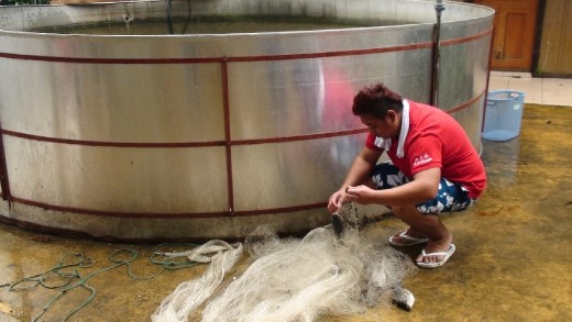 This is cheating. The fish came out of that tank behind him!