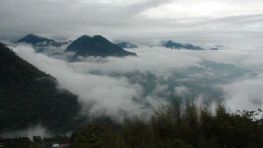 Ali Shan scenery. there are a lot of lookouts on the Ali Shan road for moments like this one.