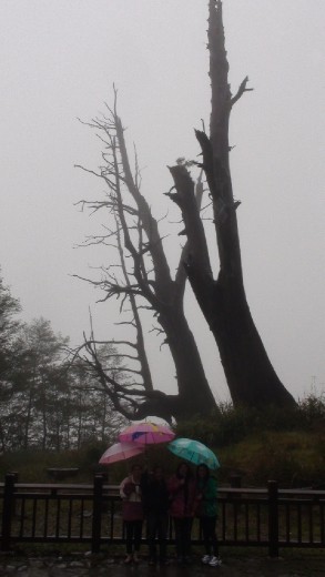 Yu Shan National Park scenery