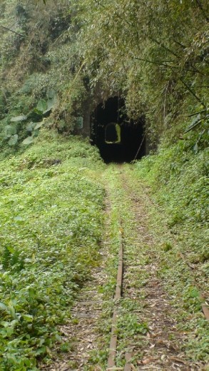 One of many, many, many tunnels on the Ali Shan tourist rail line