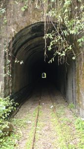 by bundynbeaches, Views[561]