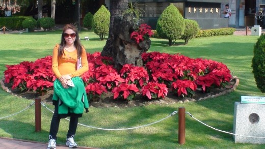 The garden of Chihkan Tower in Tainan