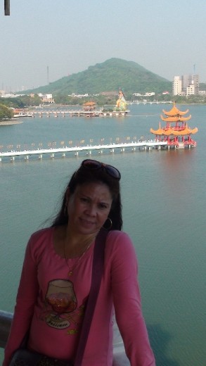 Lotus Pond from the middle floor of one of the pagodas. The top is too high....