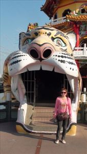 by bundynbeaches, Views[375]