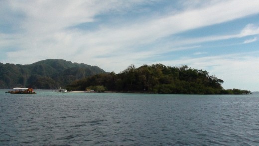 CYC (Coron Youth Club) Island. The only free admission island in the area. This place was packed on New Year's Day