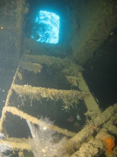 Inside the Irako Maru