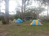 Adventure Bay caravan park: by bundynbeaches, Views[413]