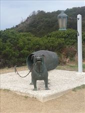 One of the 'dogs': by bundynbeaches, Views[385]