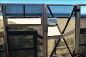 The hideout for watching the fairy penguins at the Bruny Island neck reserve: by bundynbeaches, Views[394]