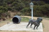 Eaglehawk Neck dog line 'dog': by bundynbeaches, Views[361]
