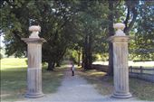 Port Arthur gardens: by bundynbeaches, Views[509]