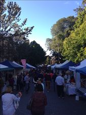 Looking south from the northern end of the sea that is the famous Salamanca Markets: by bundynbeaches, Views[420]