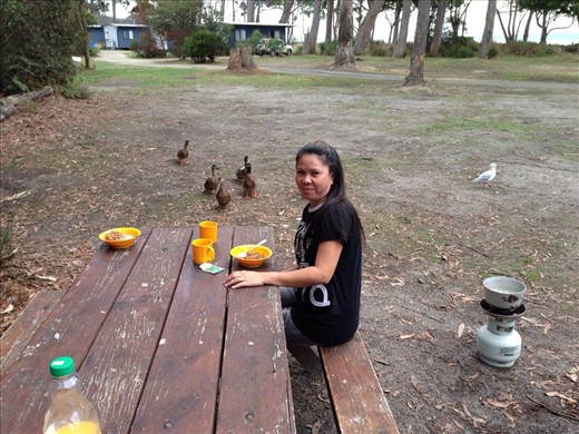 Sharing our breakfast with a few of the friendly locals at the Adventure Bay Caravan Park on Bruny Island
