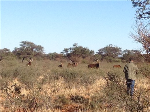 Hendrik looking to get a close up photo