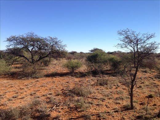 Kalahari region in behind a town called Kathu, Northern Cape Province