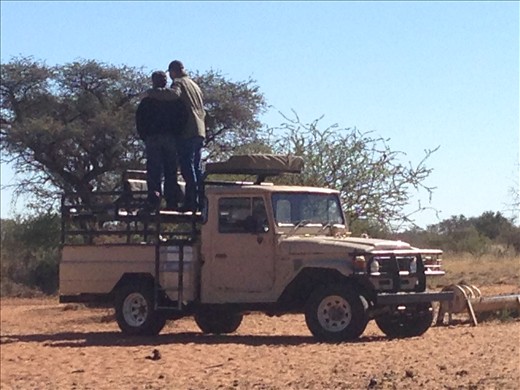 Our buggy that took us for a look around