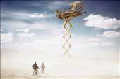 by burningman, Views[273]