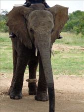 by butterfly-freed, Views[1183]