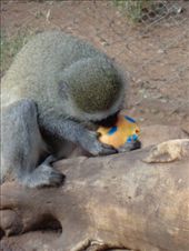 by butterfly-freed, Views[196]