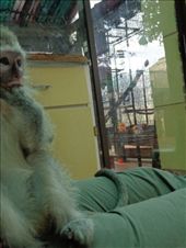 by butterfly-freed, Views[154]