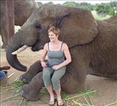 by butterfly-freed, Views[421]