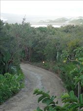 by butterfly-freed, Views[140]