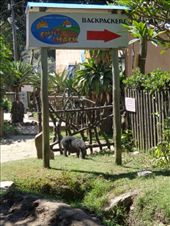 by butterfly-freed, Views[584]