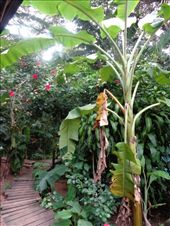 by butterfly-freed, Views[185]