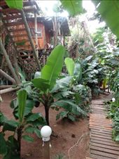 by butterfly-freed, Views[168]