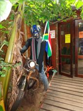 by butterfly-freed, Views[175]