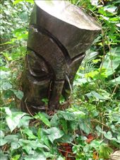 by butterfly-freed, Views[185]