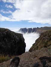 by butterfly-freed, Views[359]