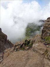 by butterfly-freed, Views[410]