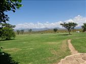 by butterfly-freed, Views[416]