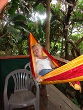 by butterfly-freed, Views[201]