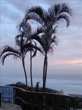 by butterfly-freed, Views[159]