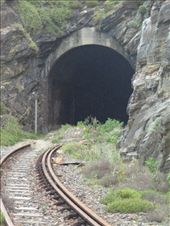 by butterfly-freed, Views[291]