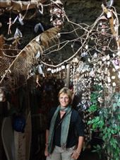 by butterfly-freed, Views[184]