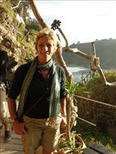 by butterfly-freed, Views[165]