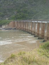 by butterfly-freed, Views[133]